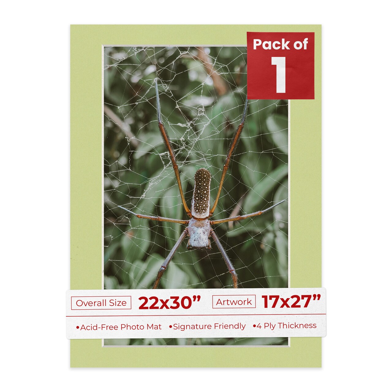 Pistachio Green Mat Board for 22x30 Frames - Fits 17x27 Photos